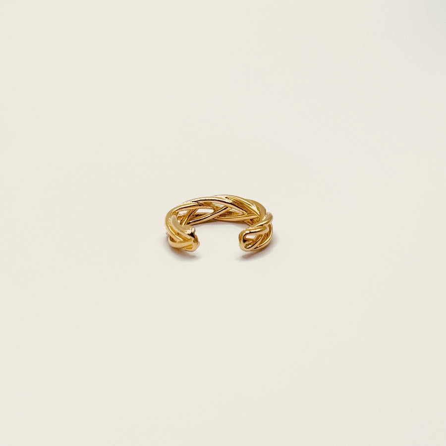 Bague d'oreille