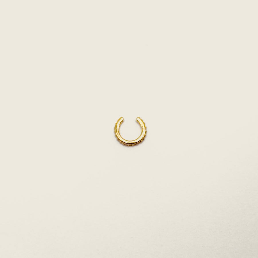 Bague d'oreille