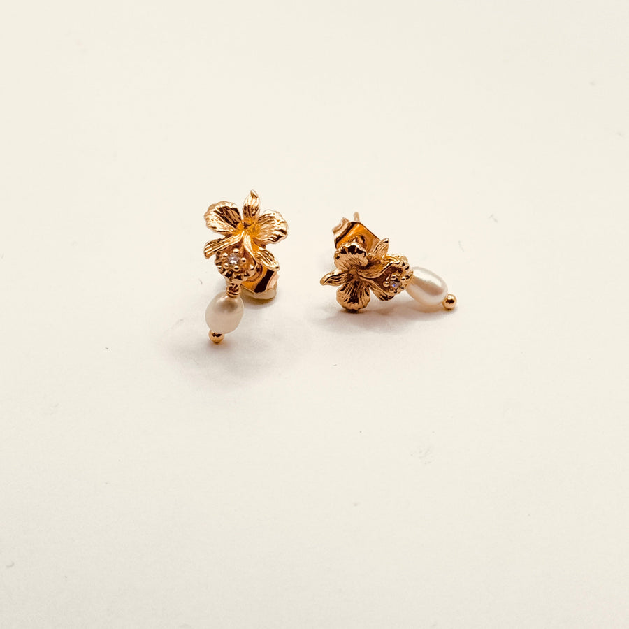 Boucle d'oreilles - Puce